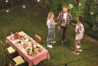 Party Lawn