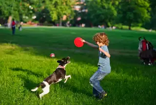 Pet Zone